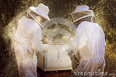 Two people harvesting honey. Using a bee-smoker Stock Photo