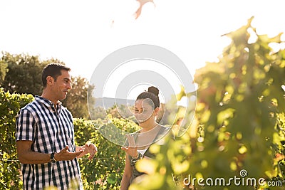 Two people having a chat in the vineyards Stock Photo