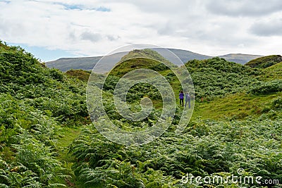 Two people hike through a field of ferns towards a fairy mound in the Isle of Skye Stock Photo