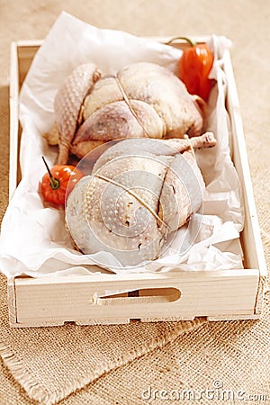 Two pheasants bird, plucked and stuffed in wooden box Stock Photo