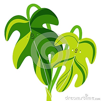 Two philodendron leaves, aroids cartoon vector illustration Vector Illustration