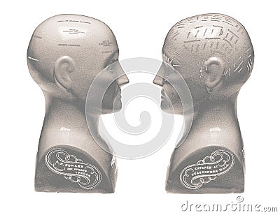 Two Phrenology heads facing each other on white background Editorial Stock Photo