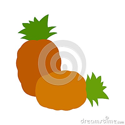 Two pineapples, tropical fruit icon, vector drawing with illustration design Vector Illustration