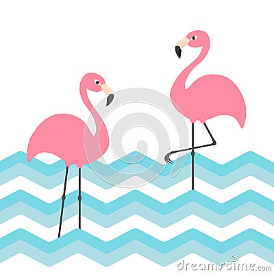 Two pink flamingo set. Blue sea ocean water zigzag wave. Exotic tropical bird. Zoo animal collection. Cute cartoon character. Deco Vector Illustration