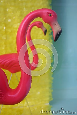 Two pink flamingos Stock Photo