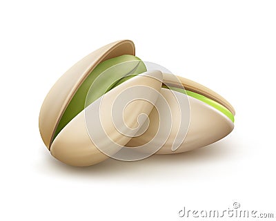 Two pistachio nuts Vector Illustration