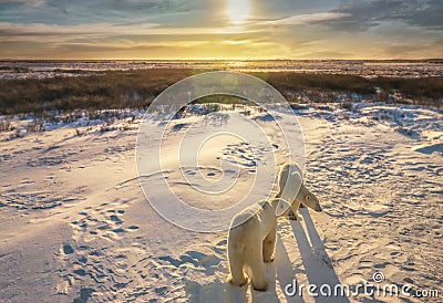 Two polar bears in their natural habitat. Stock Photo