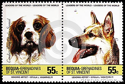 Two postage stamps printed in Saint Vincent Grenadines shows Cavalier-King-Charles-Spaniel Canis lupus familiaris and German Editorial Stock Photo
