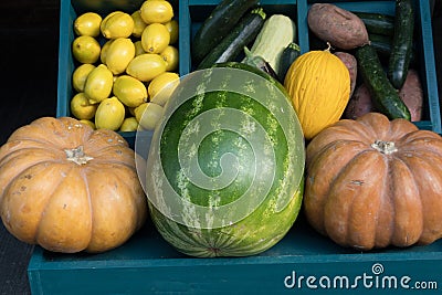 two pumpkins next watermelon shelf fruits vegetables Stock Photo