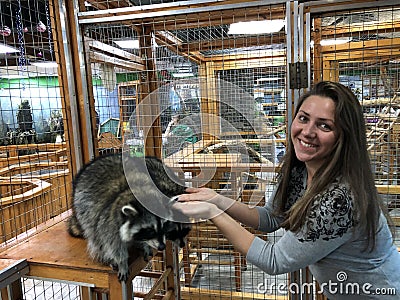 Raccoons eat from hands in the manual contact zoo, a smile woman feeds animals from hands Stock Photo