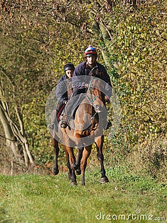 Two Racehorses in Training Editorial Stock Photo