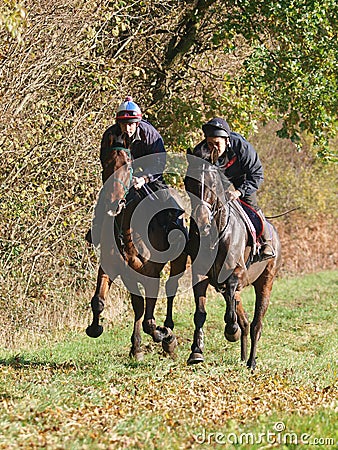 Two Racehorses in Training Editorial Stock Photo