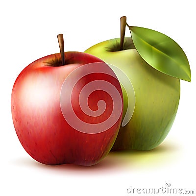 Two realistic apples Vector Illustration