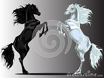 Two rear horses Vector Illustration