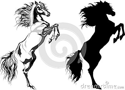 Two rear horses: monochrome plus silhoutte Vector Illustration