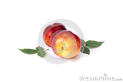 Two red bald peaches on white background. Peaches closeup red color Stock Photo