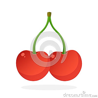 Two red sweet cherry berries connected by a stem Vector Illustration