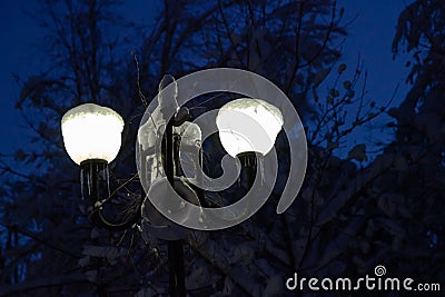 Two street lights shine on winter night Stock Photo