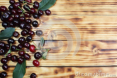 Two ripe cherries are hanging on a tree branch Stock Photo