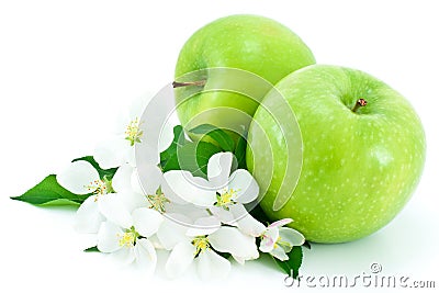 Two ripe, green apples and white flowers . Stock Photo