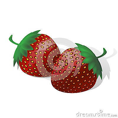 two ripe juicy strawberries Vector Illustration