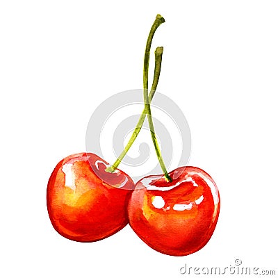Two ripe sweet red cherry berries isolated Stock Photo