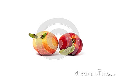 Two ripe yellow and red nectarines with green leaves Stock Photo