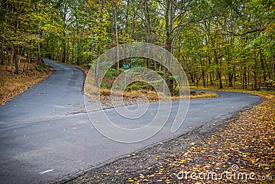 Two Roads Stock Photo