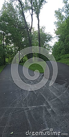 Two roads diverged in some green wood. Stock Photo