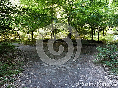 Two roads diverged in a wood... Stock Photo