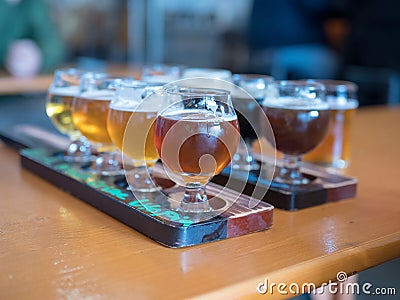 Two rows of beer flights at a bar Stock Photo