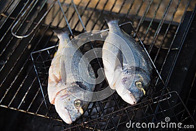 Two plump seabream ready to be cooked on the barbeque Stock Photo