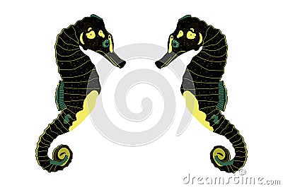 Two Sea Horses Vector Illustration