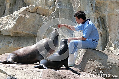 Two sea lions having breakfast at Ocean Park Editorial Stock Photo