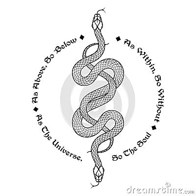 Two serpents intertwined. Inscription is a maxim in hermeticism and sacred geometry. As above, so below. Tattoo, poster Vector Illustration