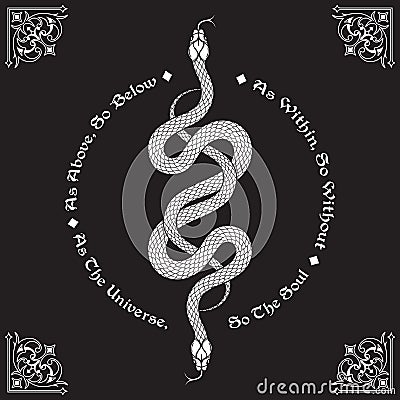 Two serpents intertwined. Inscription is a maxim in hermeticism and sacred geometry. As above, so below. Tattoo, poster or print Vector Illustration