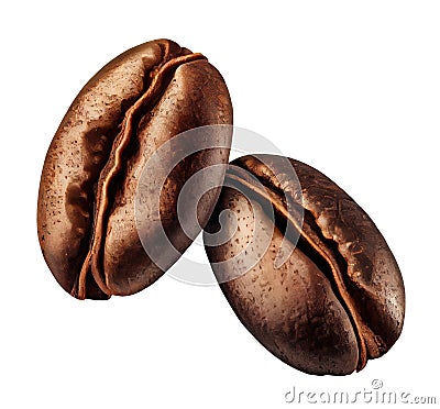 Two shiny fresh roasted coffee beans isolated on white Stock Photo