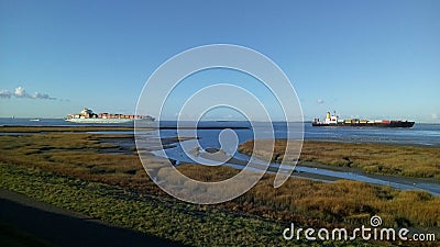 Two ships navigate along a green salt marsh in the westerschelde towards antwerp in february Editorial Stock Photo