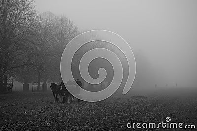 Two shire horses and three men gathering leaves in Bushy Park Editorial Stock Photo