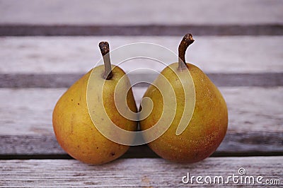 Two small Seckel pears in a row Stock Photo