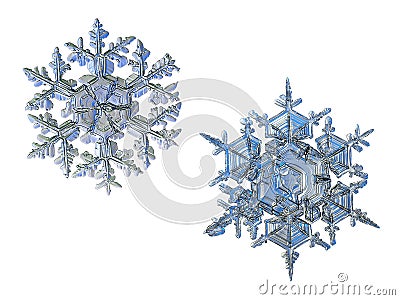 Two snowflakes isolated on white background Stock Photo