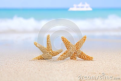 Two starfish on beach, blue sea and white boat Stock Photo