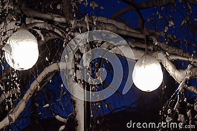 Two street lights shine on winter night Stock Photo
