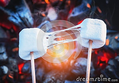 Two stretchy marshmallows roasting over fire flames. Marshmallow on skewers roasted on charcoals Stock Photo