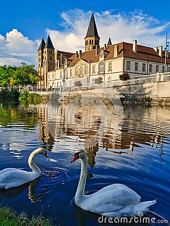 Two swans in front of the basilica of Paray le monial. Stock Photo