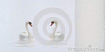 Two swans and a hygiene towel. Stock Photo