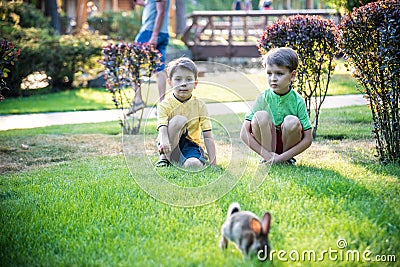 Two sweet little boy and Pennon rabbit bunnies are sitting on green grass. Friendship between humans and animals. Children and Stock Photo