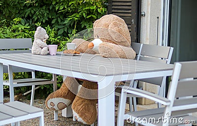 Two sweet Teddy Bears sitting at the table outdoor having tea with cookies. Friendship of opposites. Stock Photo