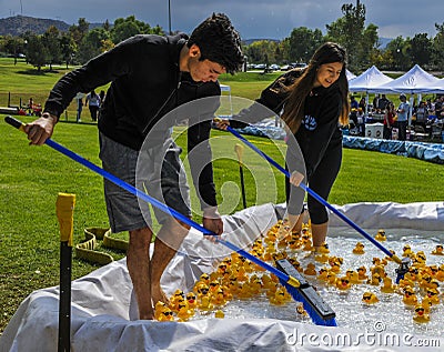Two teens sweep rubber duckies to the start line at the Rubber Ducky Festival Editorial Stock Photo