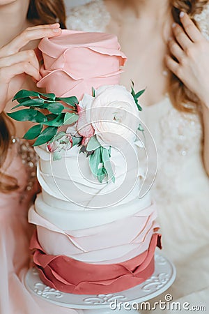 Two tender bride girls models in Veil Wedding Dress holding beau Stock Photo